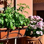 Casa Cifali Maison d'hôtes Taormine