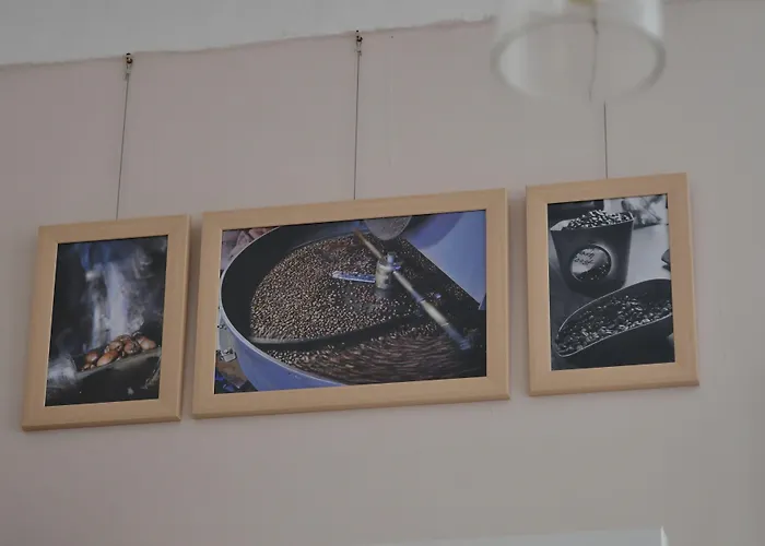 カーサ シファリ 3*